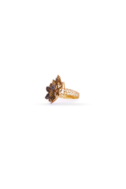 HC Ring Ten